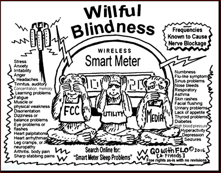 “Smart Meter Catches Fire, Utility Company Denies Homeowners’ Damage Claim” Flo-willful-blindness