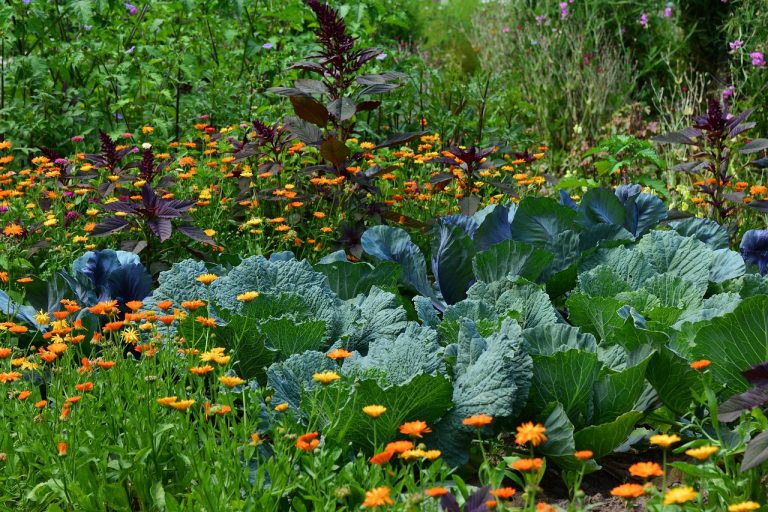Citizen Science: Charlie’s Garden and Family’s Food vs. the Pittsfield Cell Tower